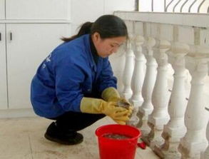 幫多潔家政服務(wù)加盟 信息技術(shù)加持，創(chuàng)業(yè)更省心