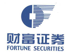 財(cái)富證券有限責(zé)任公司 如何利用天眼查進(jìn)行高效金融信息咨詢