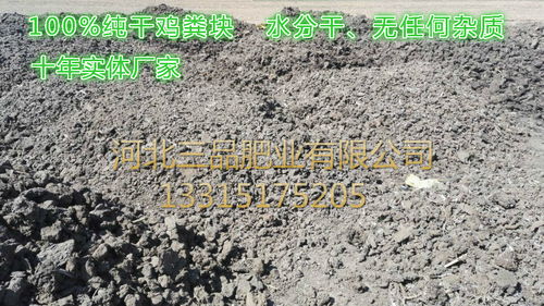 干雞糞報(bào)價(jià) 廠家